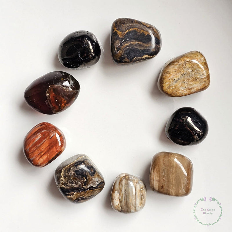 Fossils