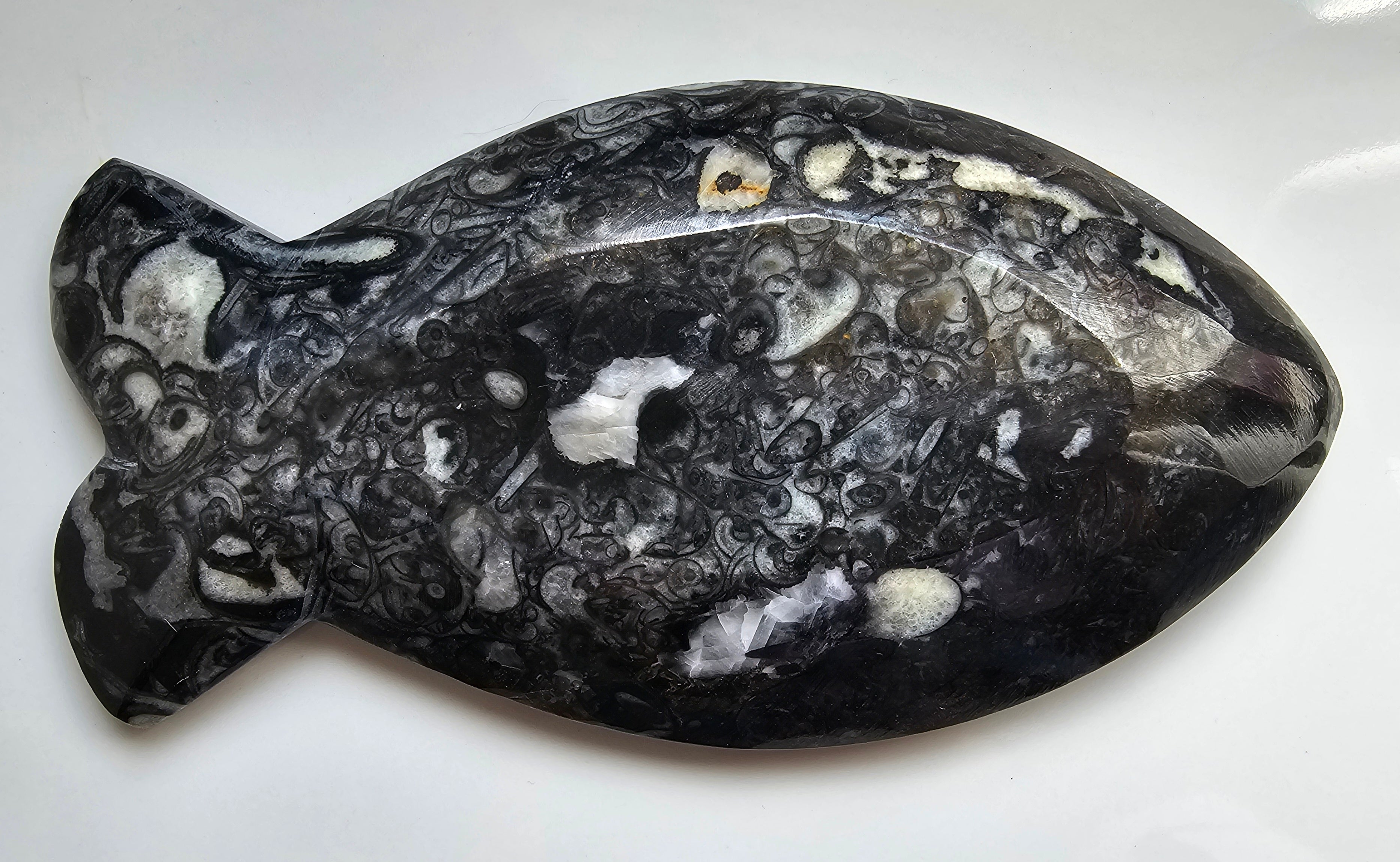 Fossilised Fish Plate