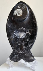 Fossilised Fish Plate