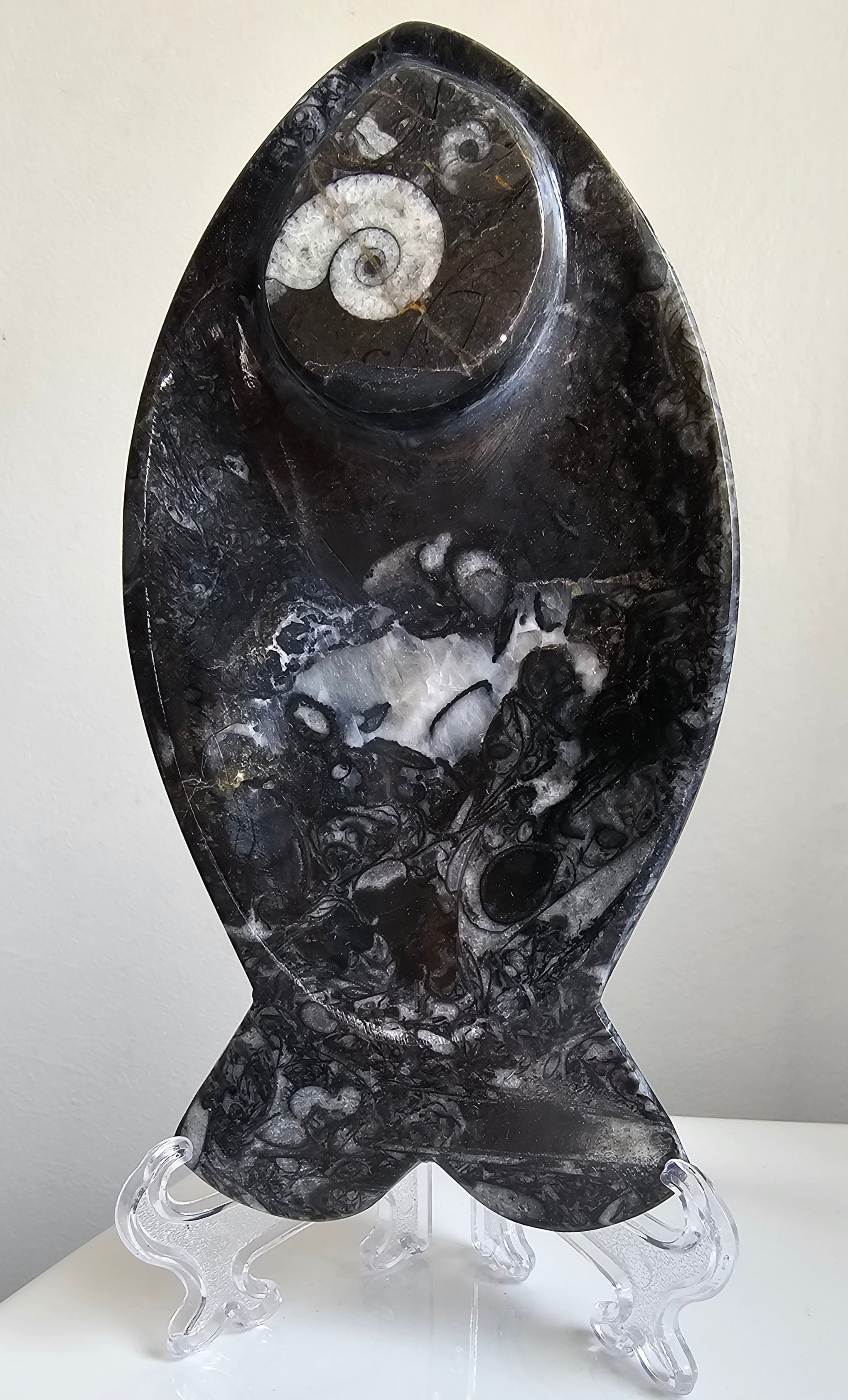 Fossilised Fish Plate