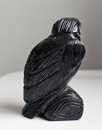 Crystal Animal Carvings