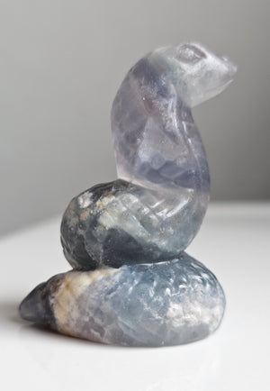 Cobra (rainbow fluorite)