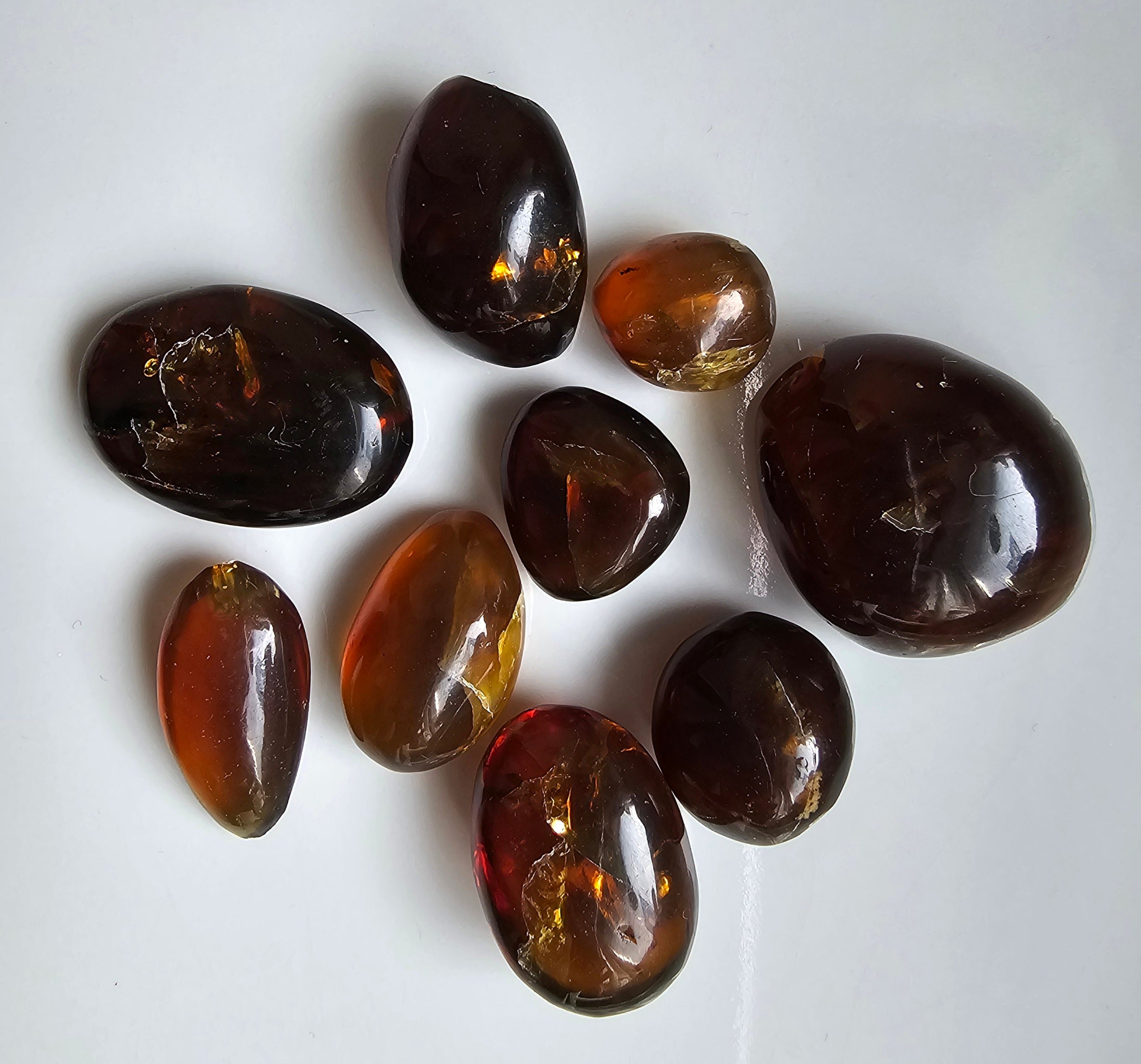 Fossil Tumblestones