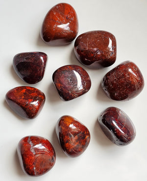 Jasper (red from Scotland)