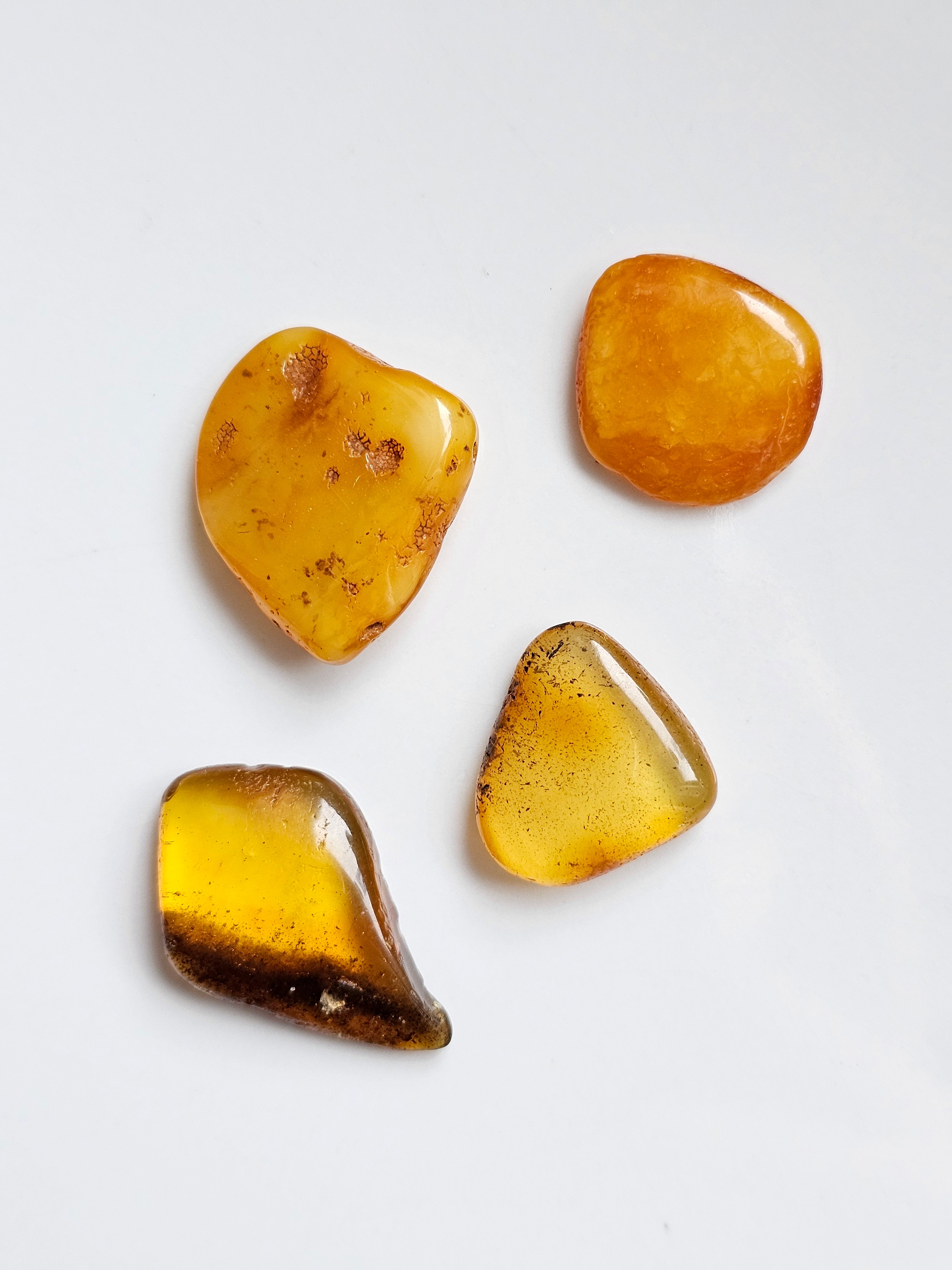 Fossil Tumblestones