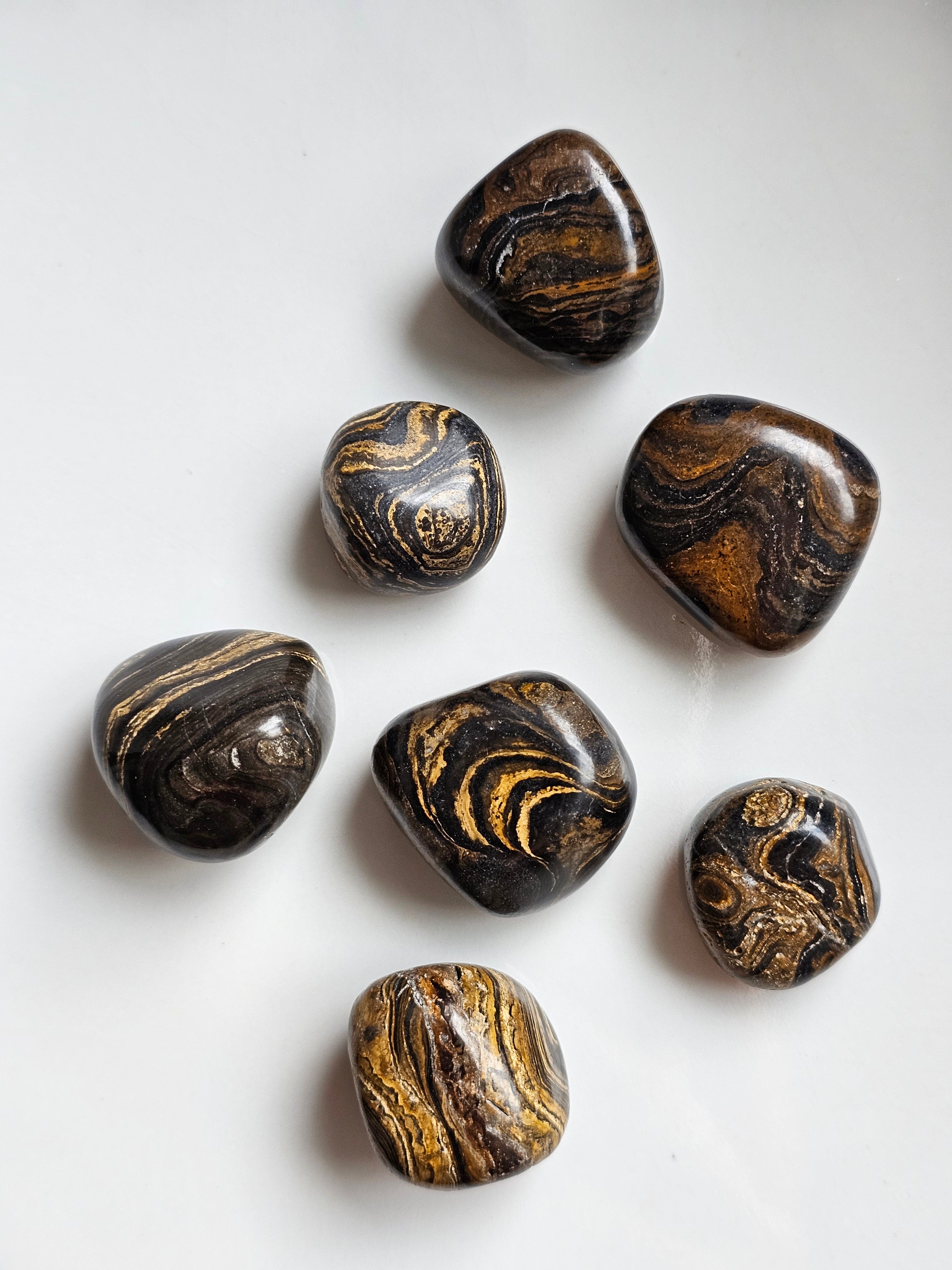 Fossil Tumblestones