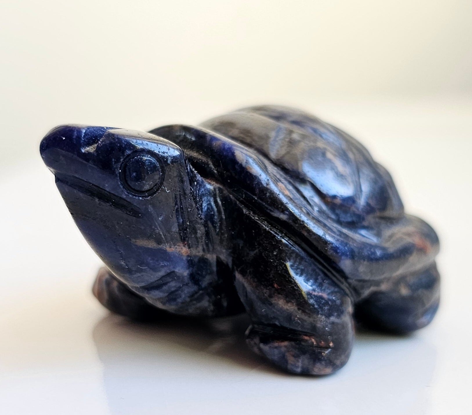 sunset sodalite tortoise carving