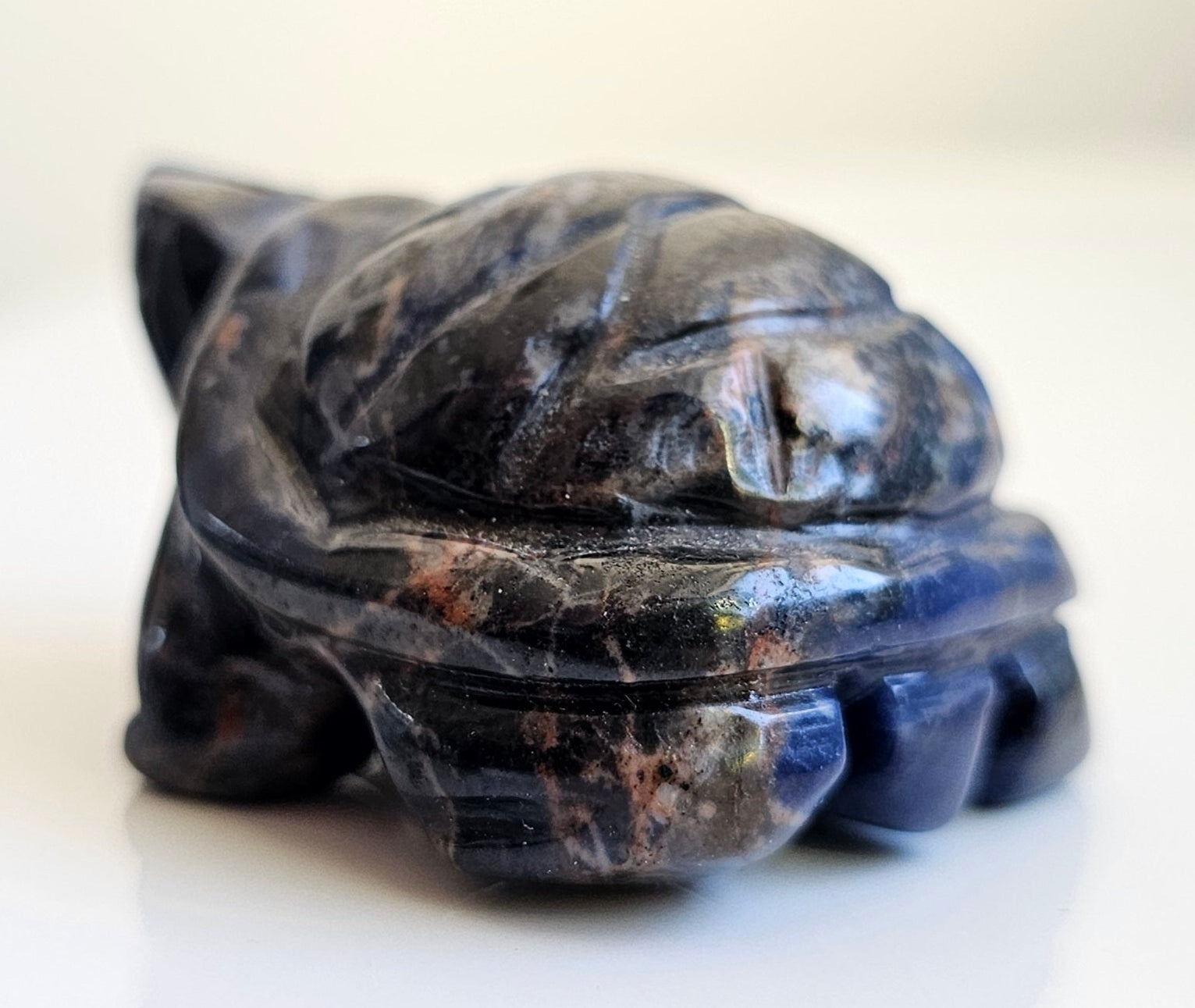 sunset sodalite tortoise carving