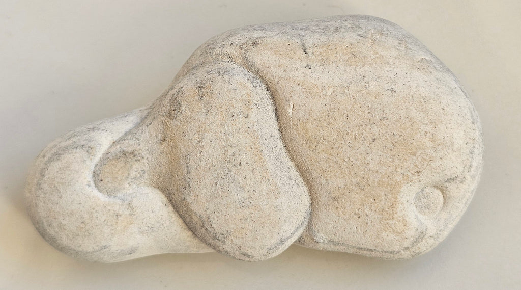 menalite from morocco