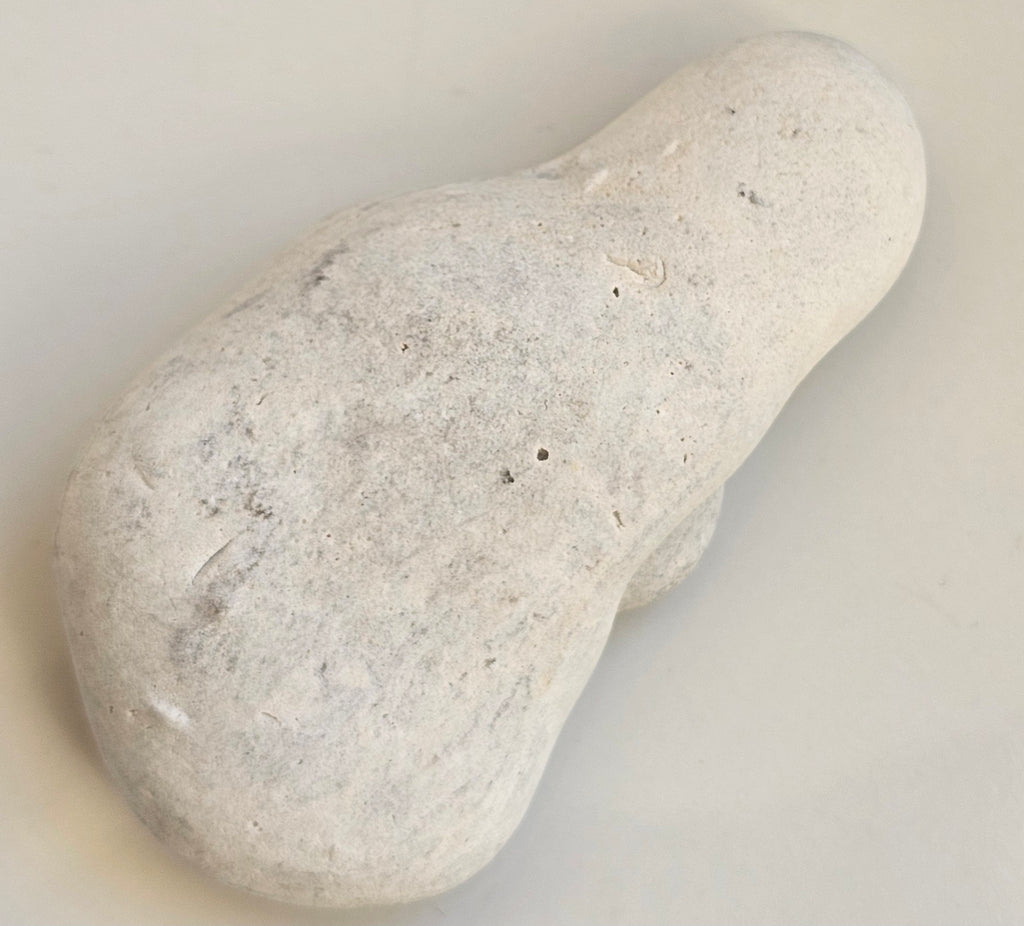 menalite from morocco