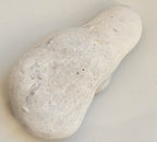 menalite from morocco
