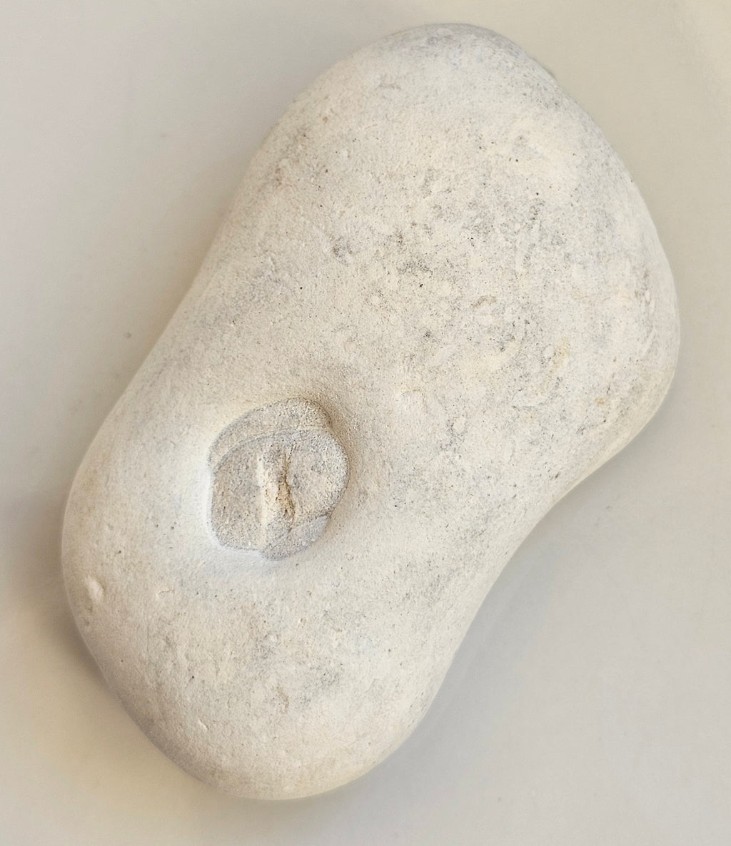 menalite from morocco