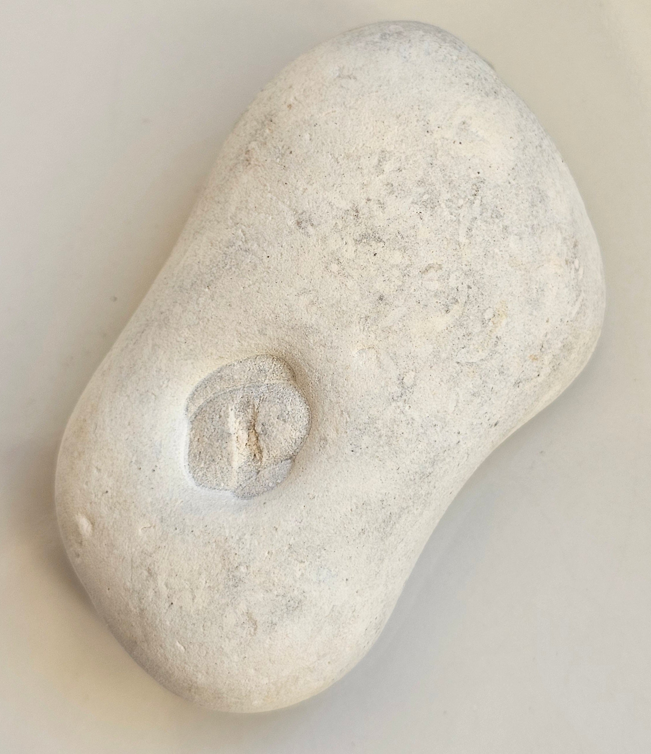 menalite from morocco