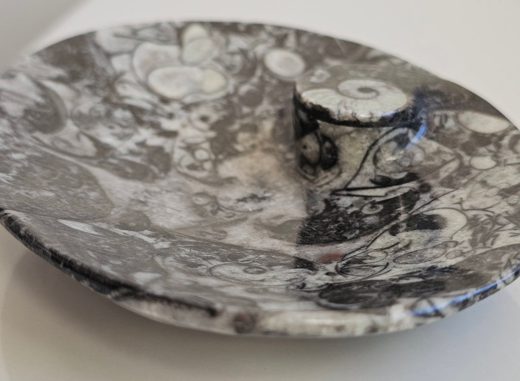 fossil marble trinket dish from morocco