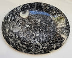 fossil marble trinket dish from morocco