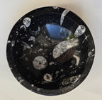 orthacerus fossil bowl