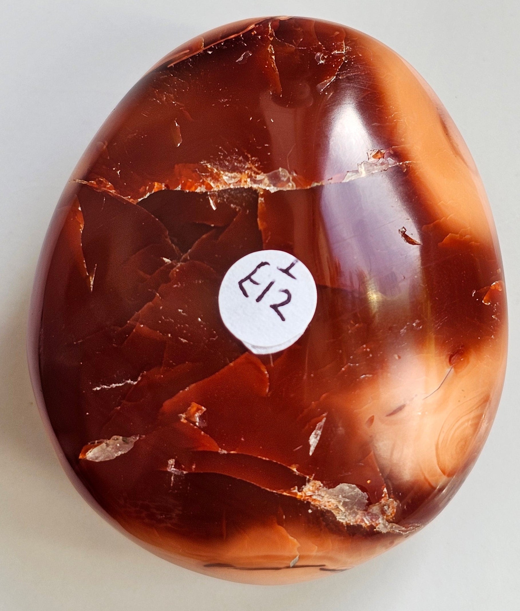 petrified wood pebble from madagascar