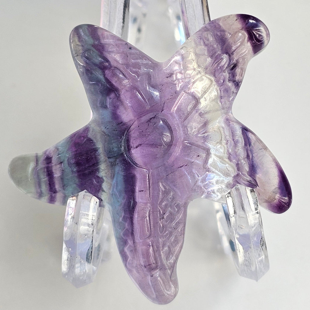 rainbow fluorite starfish