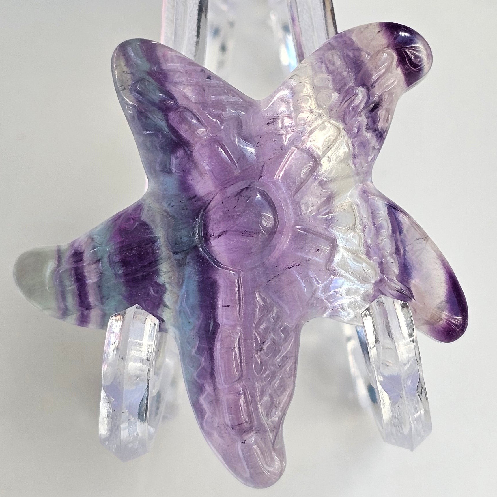 rainbow fluorite starfish