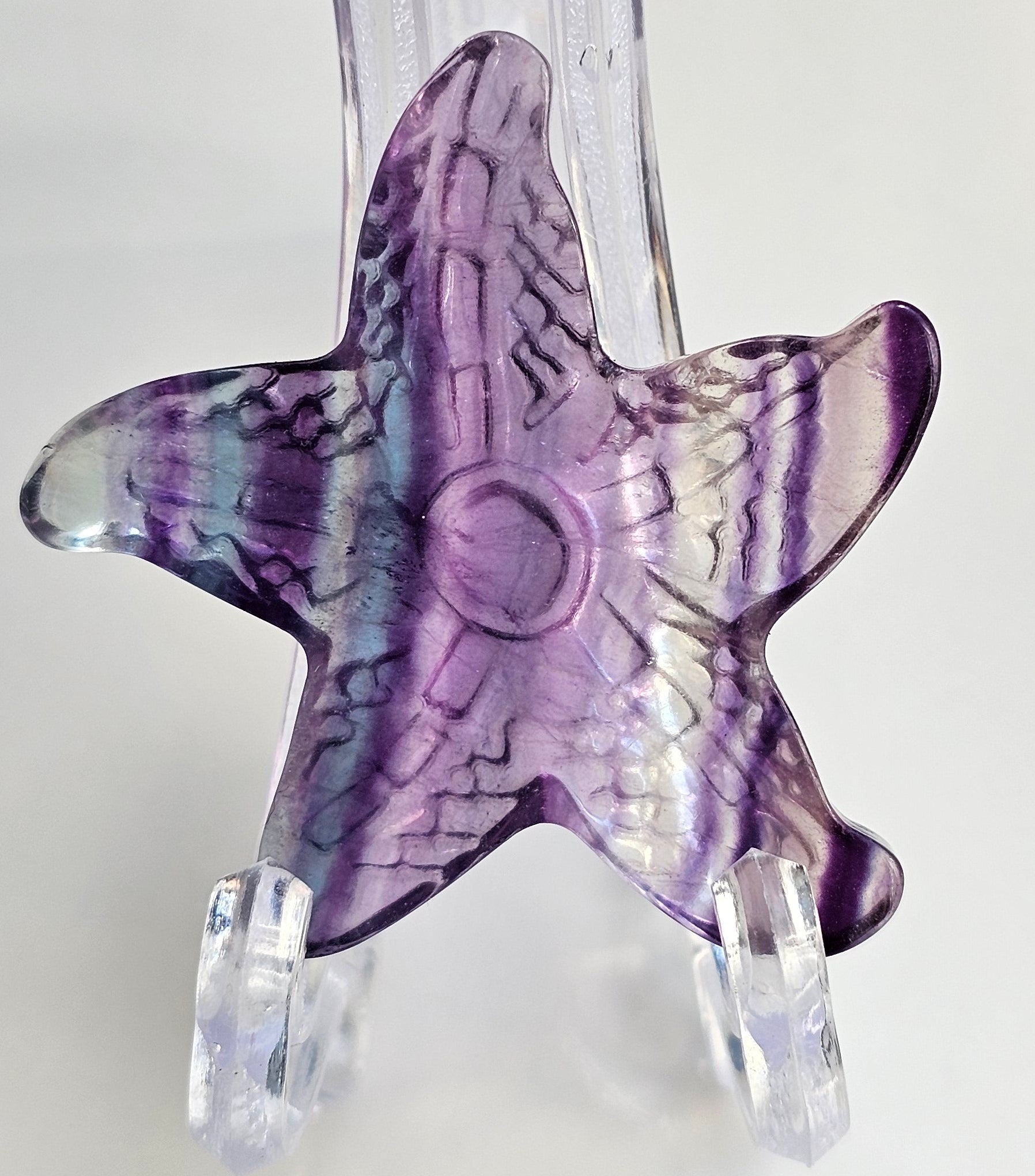 rainbow fluorite starfish