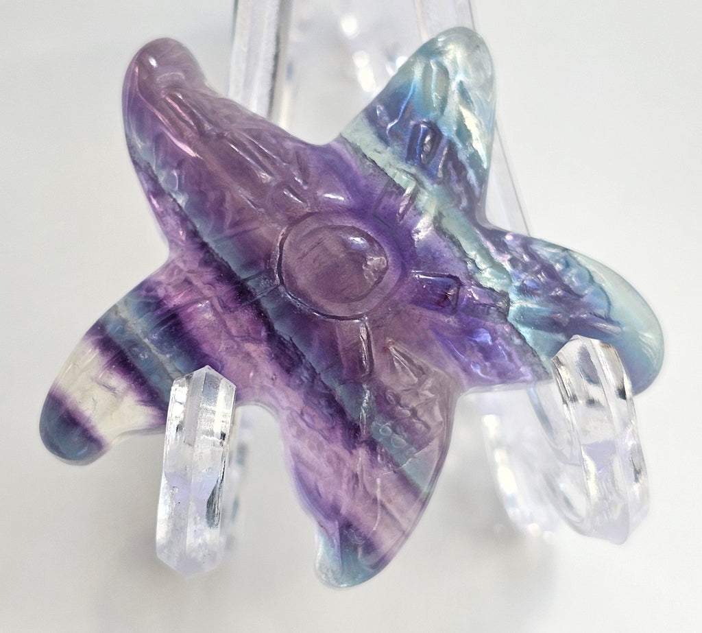 rainbow fluorite starfish
