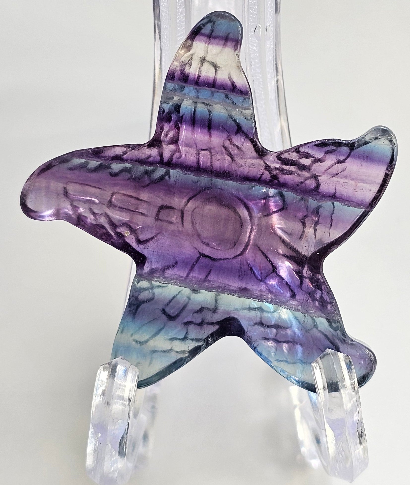 rainbow fluorite starfish