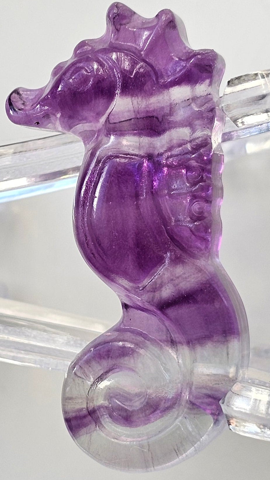 rainbow fluorite seahorse
