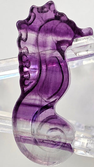 Seahorse #1 (4cm-rainbow fluorite)