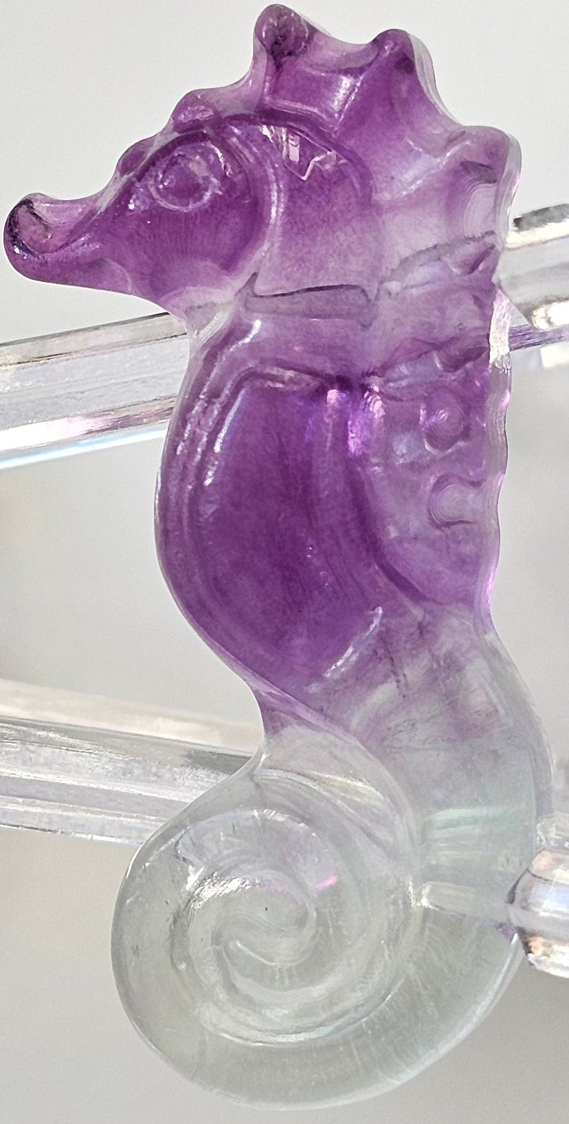 rainbow fluorite seahorse