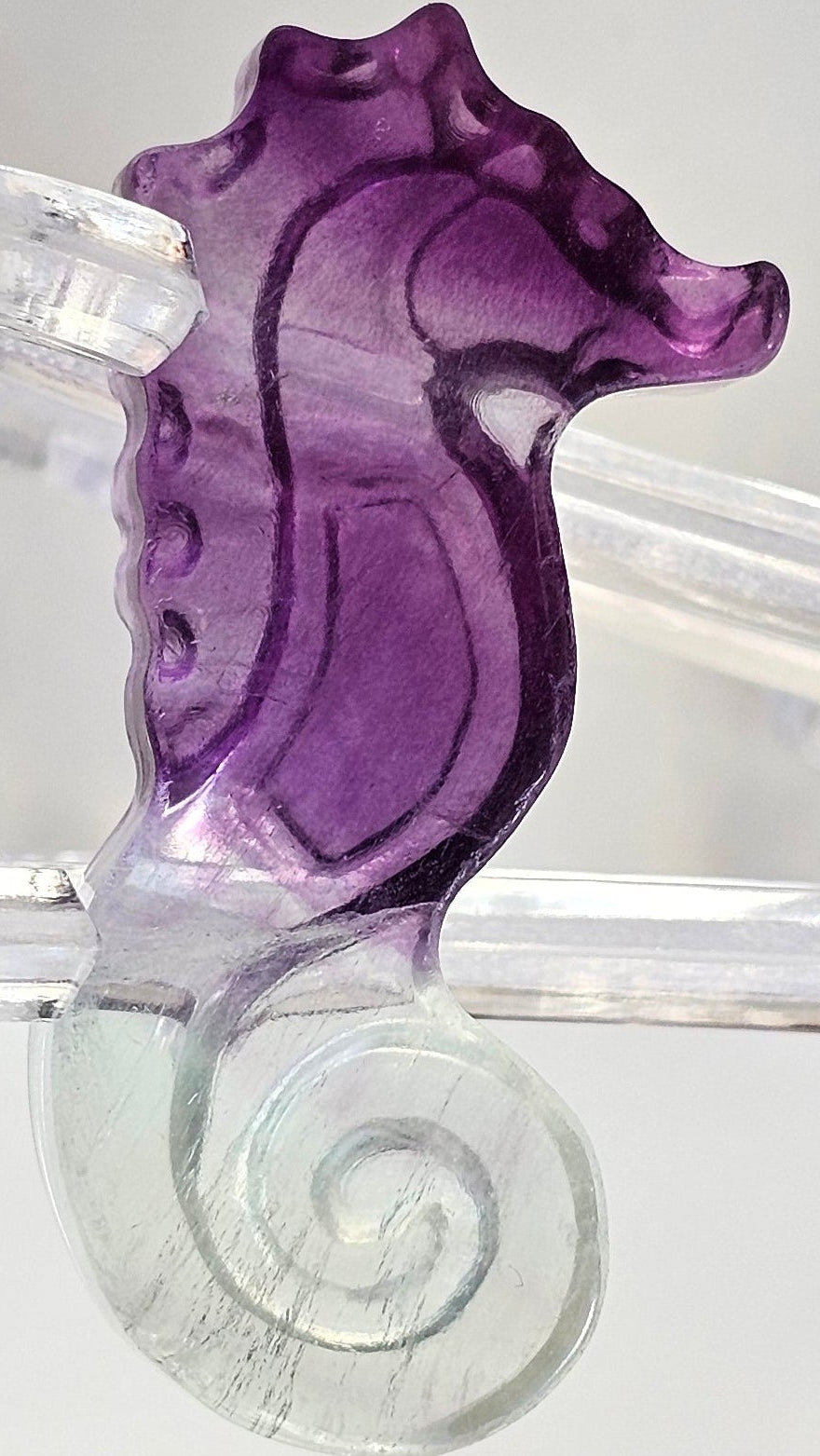 rainbow fluorite seahorse