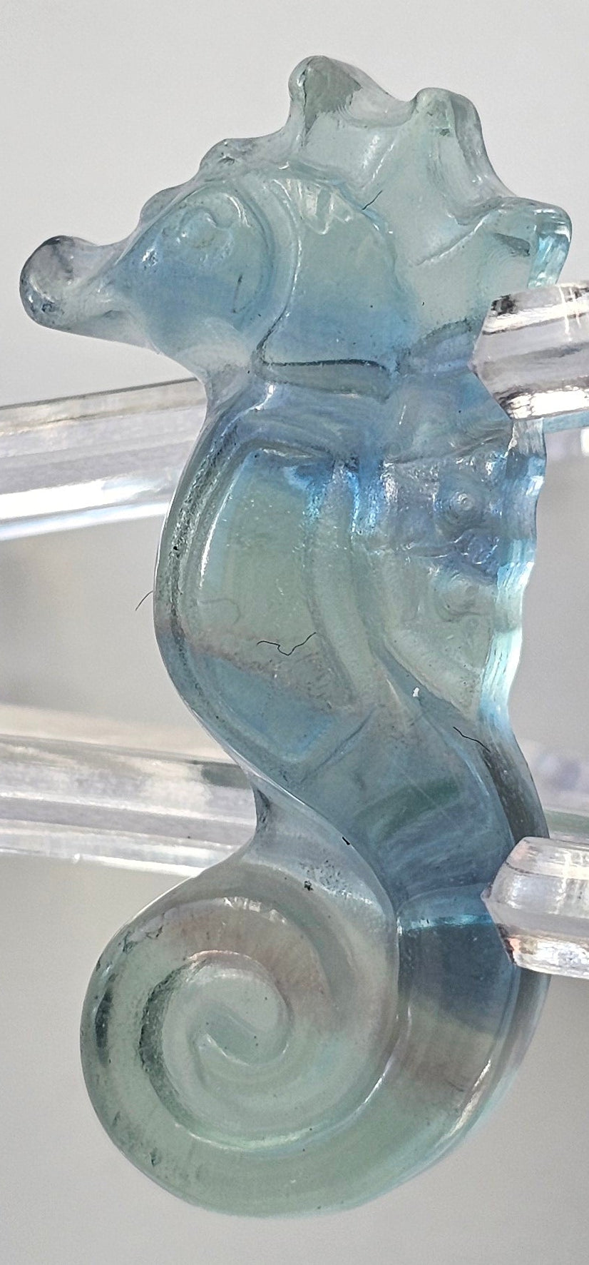 rainbow fluorite seahorse