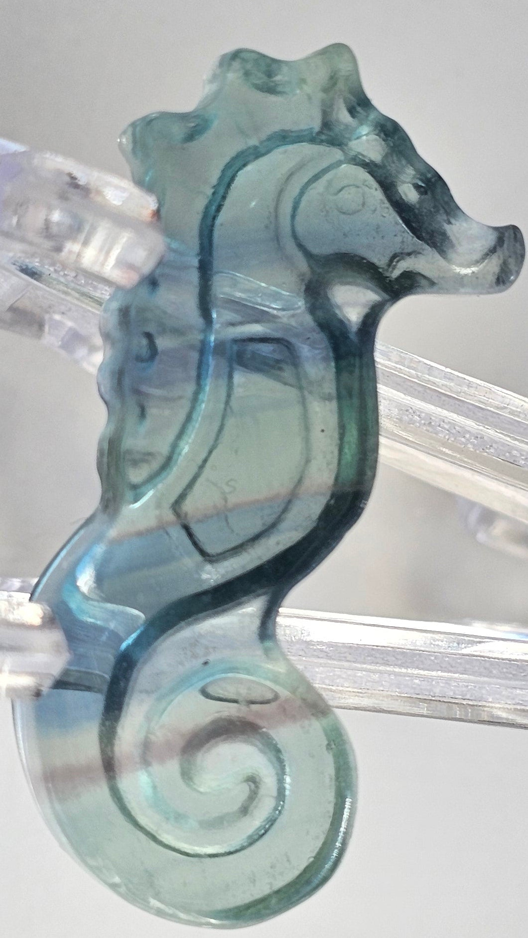 rainbow fluorite seahorse