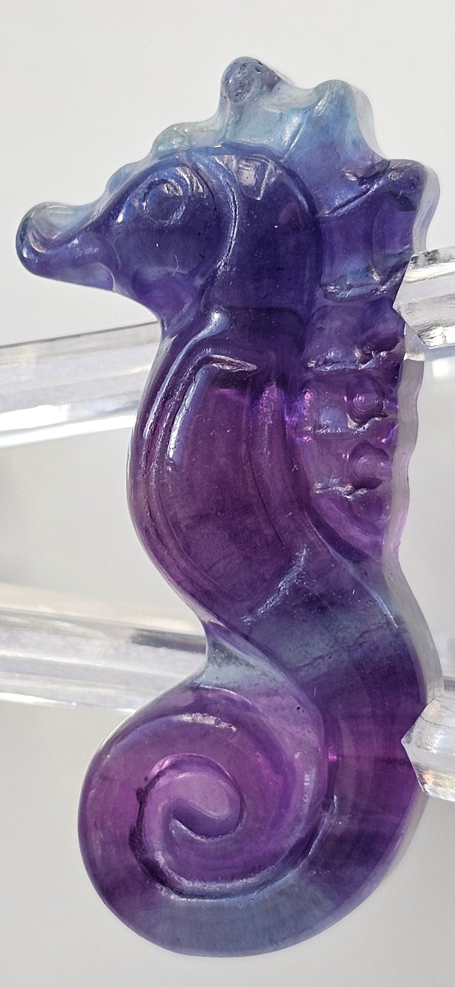 rainbow fluorite seahorse