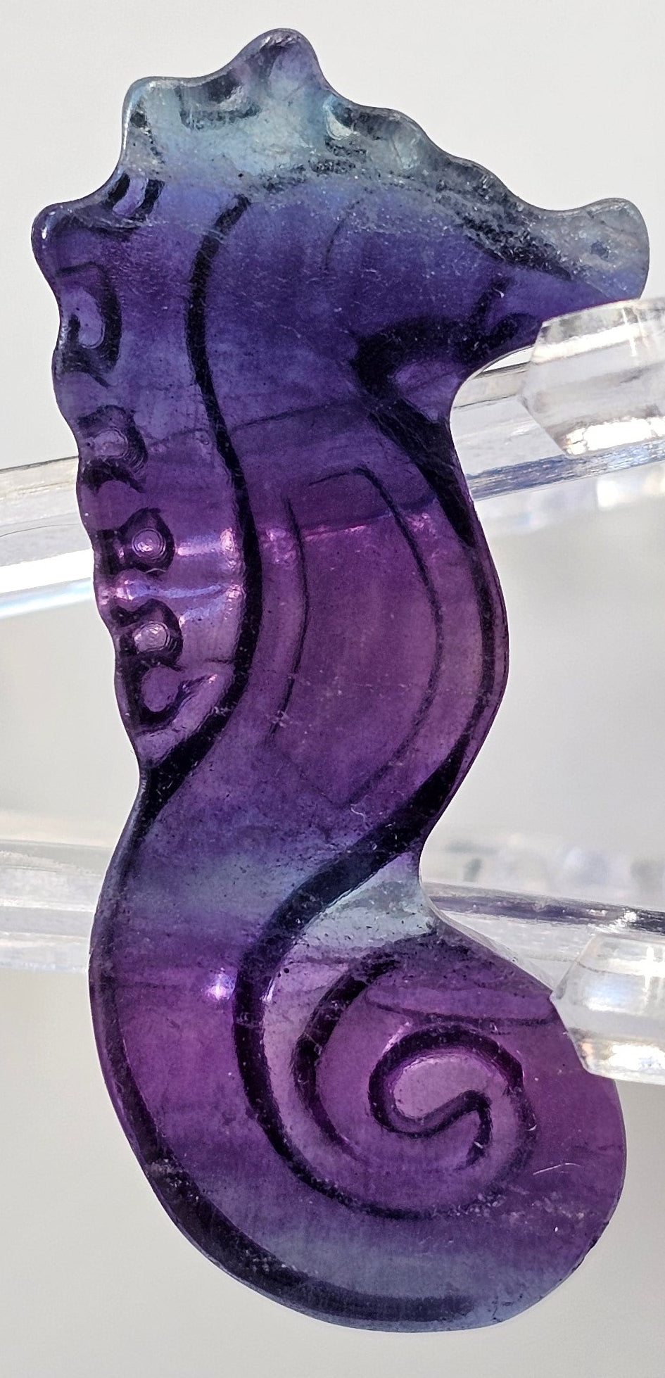 rainbow fluorite seahorse