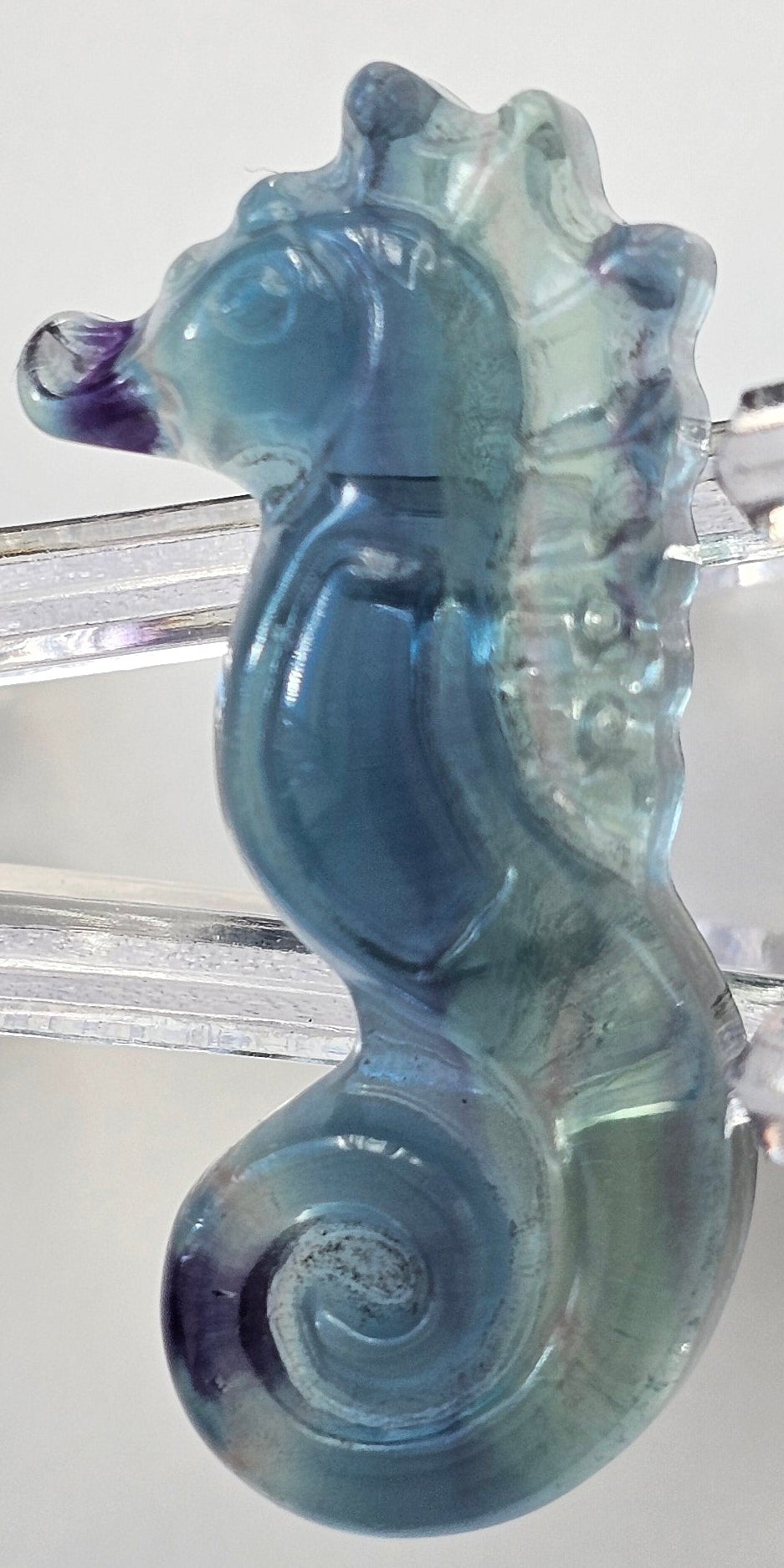 rainbow fluorite seahorse