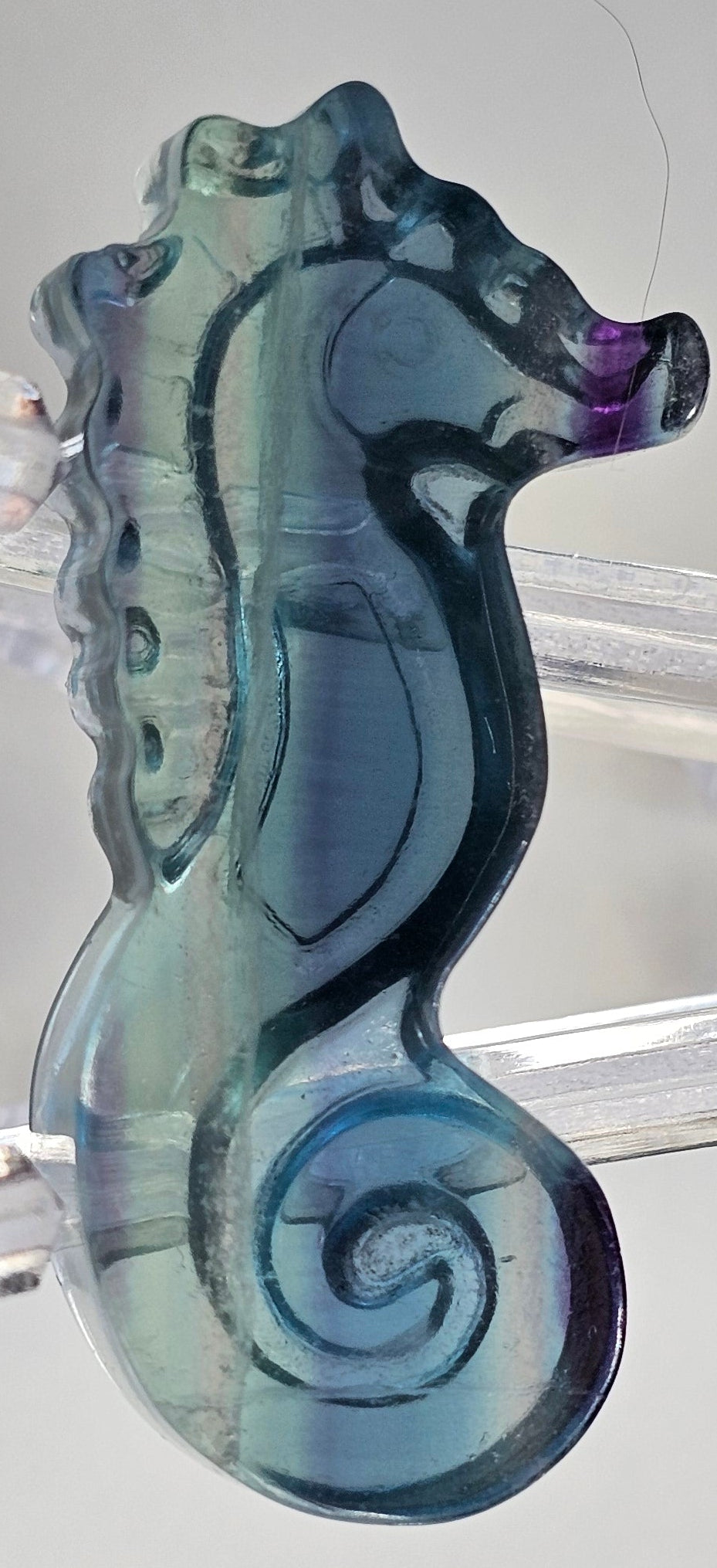 rainbow fluorite seahorse