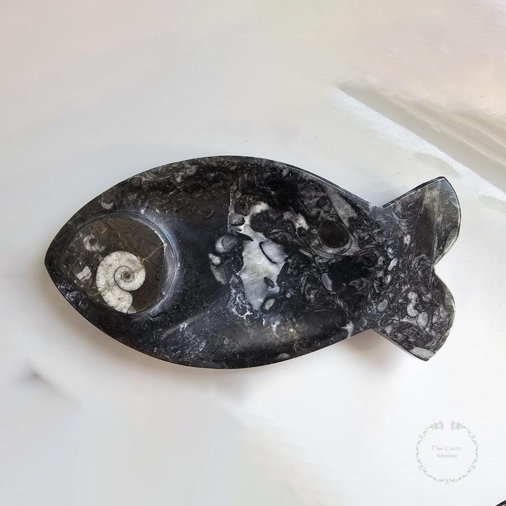 Fossilised Fish Plate