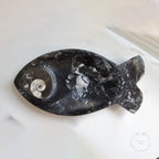 Fossilised Fish Plate