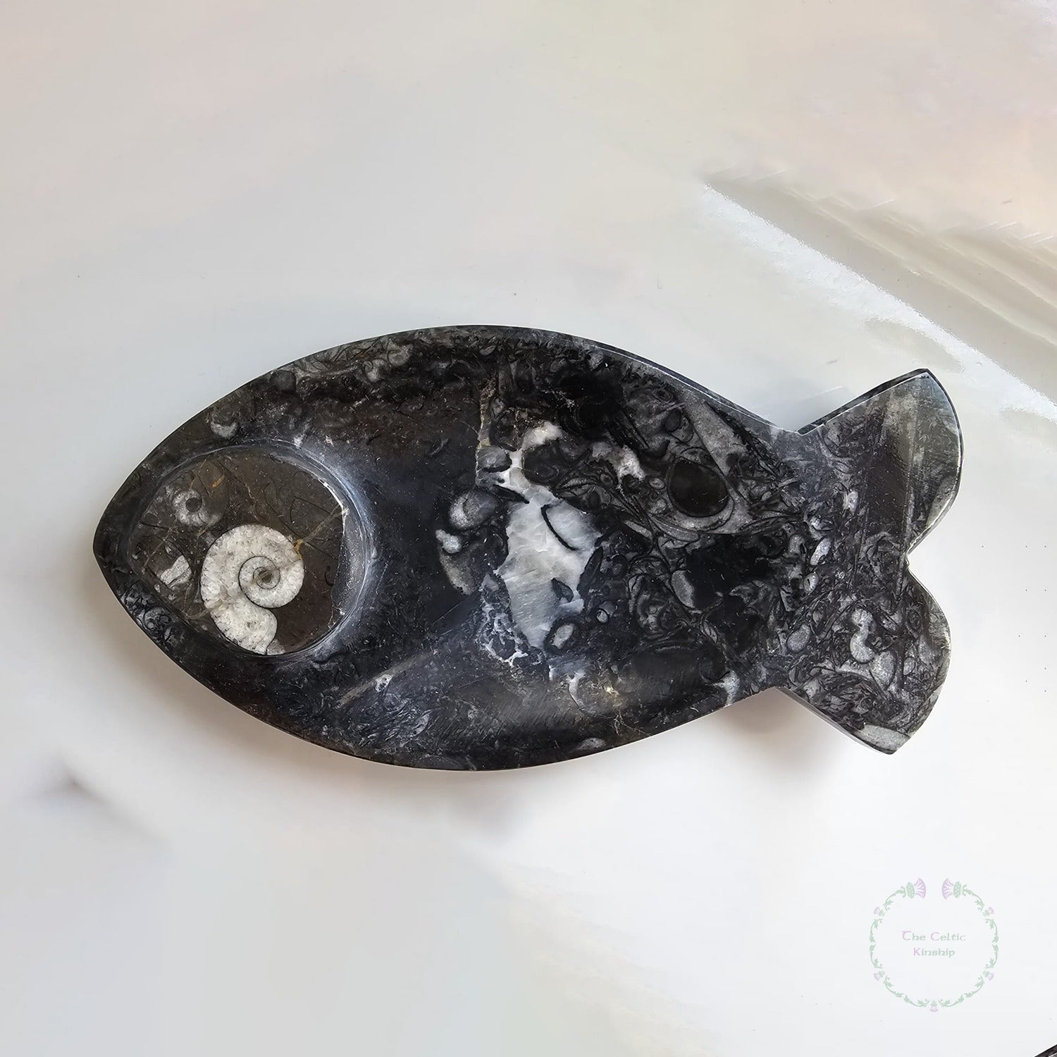 Fossilised Fish Plate