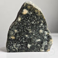 Preseli Bluestone standing stone from Wales 