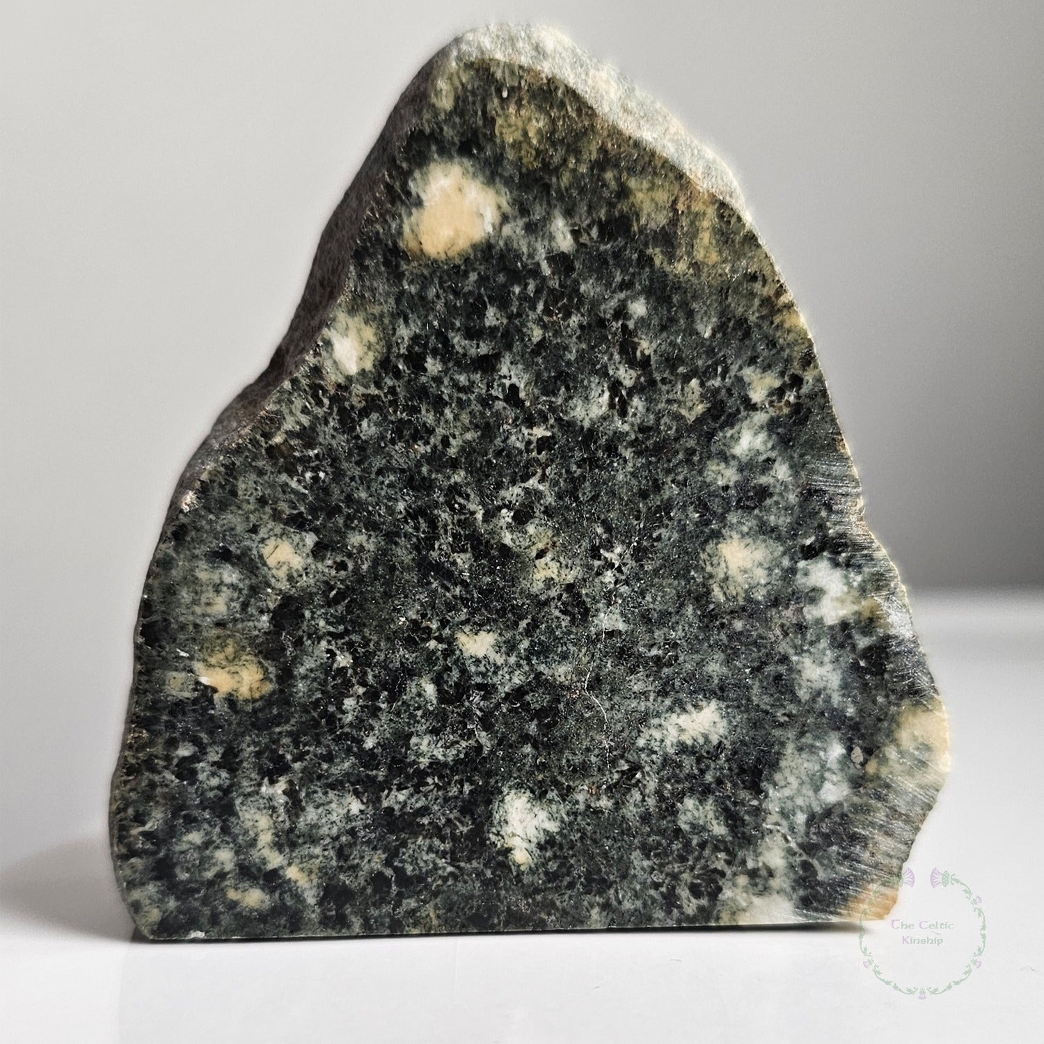 Preseli Bluestone standing stone from Wales 