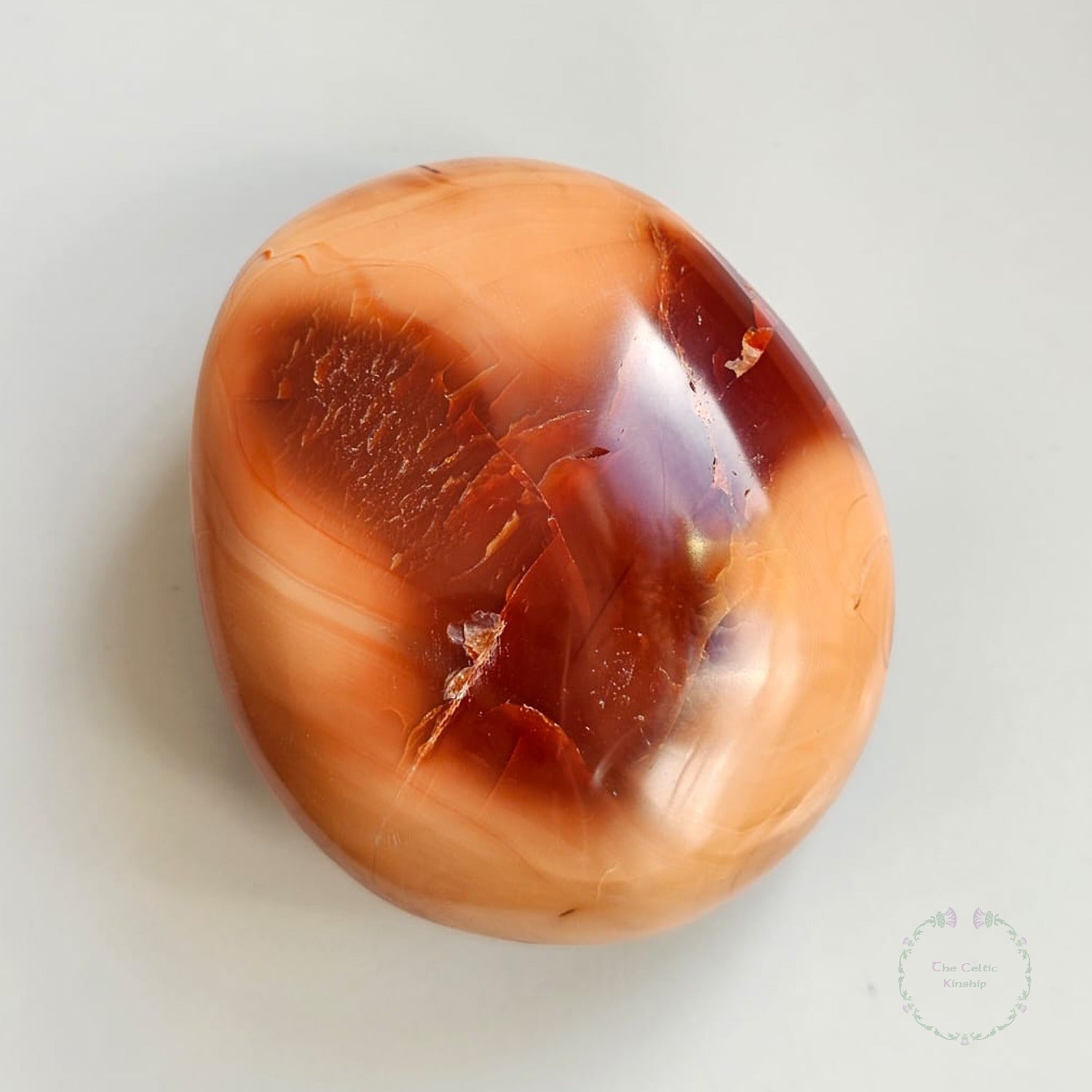 petrified wood pebble from madagascar