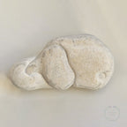 menalite from morocco
