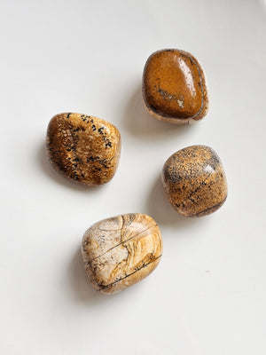 Jasper (picture)